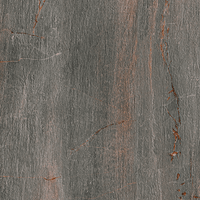 Paramount Porcelain Fossil Piombo