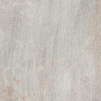 Paramount Tile Fossil Perla Semi-Polished 12" x 24"