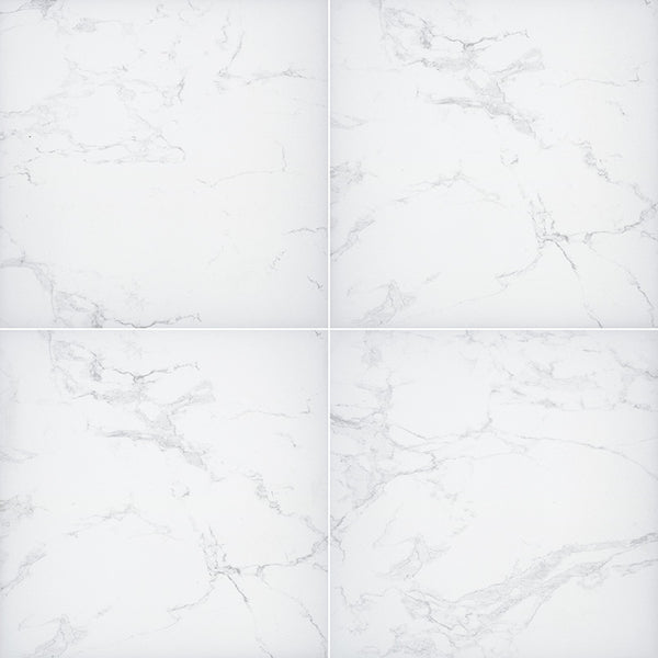 Arterra Porcelain Paver Praia Carrara - 24"x24"