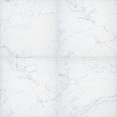 Arterra Porcelain Paver Praia Carrara - 24"x24"