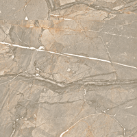 Paramount Porcelain Amaranto Sand