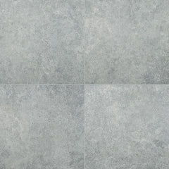Arterra Porcelain Paver Lunar Silver - 24"x24"