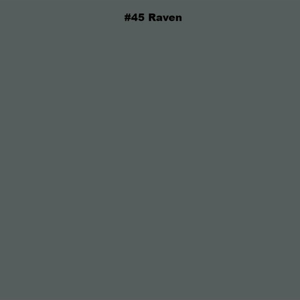#45 Raven